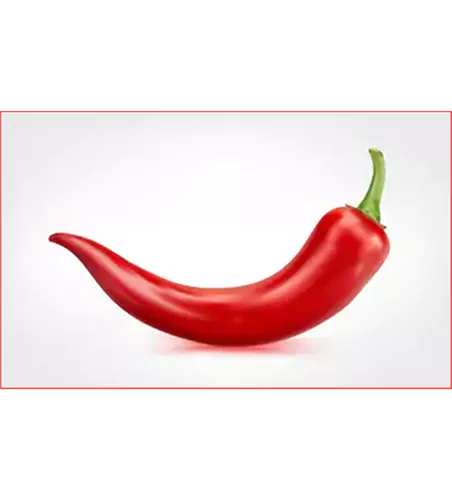 Capsicum annuum Chilli
