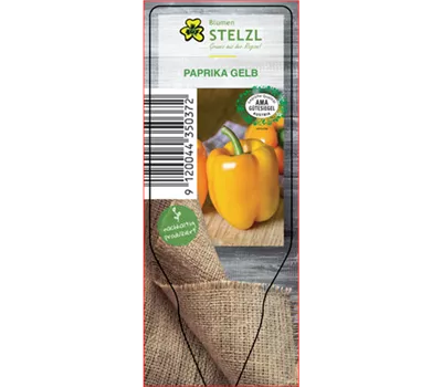 Capsicum annuum gelb