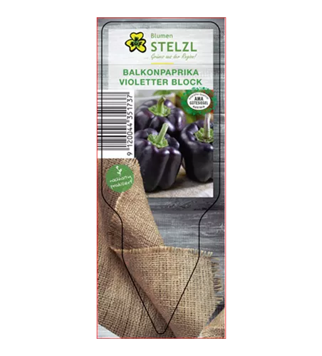 Capsicum annuum 'Mavras'