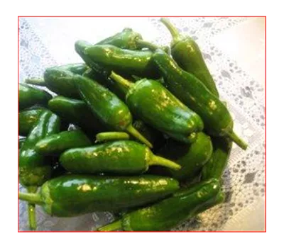 Capsicum annuum grillpaprika