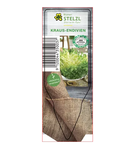 Cichorium endivia var. crispum