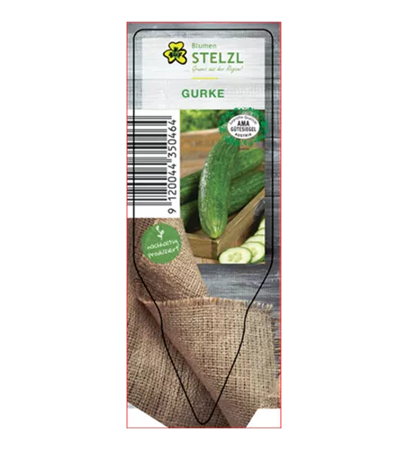 Cucumis sativus 'Lothar F1'