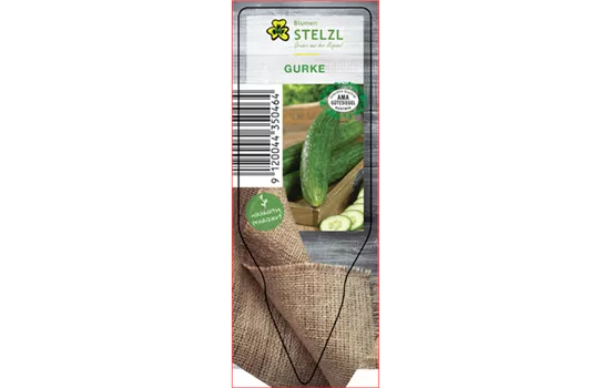 Cucumis sativus 'Lothar F1'