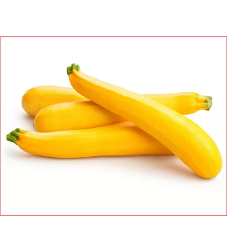 Cucurbita pepo subsp. pepo convar