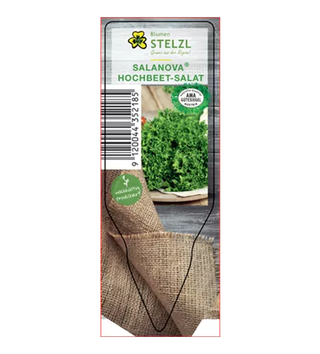 Lactuca sativa 'Salanova'®, grün