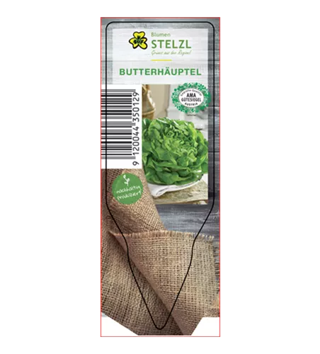 Lactuca sativa var. capitata 'Butterhäuptel'