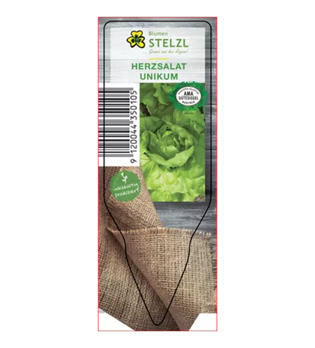 Lactuca sativa var. capitata Unikum