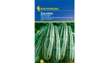 Cucurbita pepo subsp. pepo convar. giromontiina 'Coucourzelle'