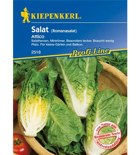 Romanasalat 'Attico'