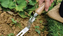 Kent & Stowe Hand Wurzelstecher