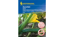 Cucurbita pepo subsp. pepo convar. giromontiina 'Quine'