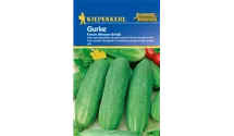 Cucumis sativus 'Fatum'
