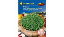 Lepidium sativum 'Cresto'