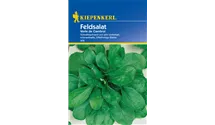 Valerianella locusta 'Verte de Cambrai'