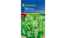 Lactuca sativa var. capitata 'Kagraner Sommer 2'