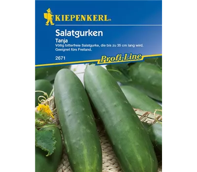 Gurke 'Tanja'