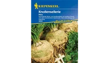 Apium graveolens var. rapaceum 'Prinz'