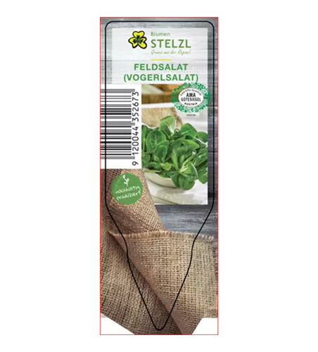 Valerianella locusta