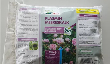 Cuxin Plasmin Meereskalk