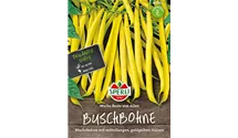 Phaseolus vulgaris var. nanus 'Wachs Beste von Allen'