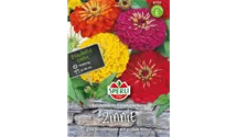 Zinnia elegans 'Kalifornische Riesen'