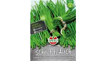 Allium schoenoprasum 'Staro'