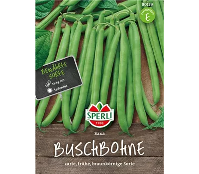 Busch-Bohne 'Saxa'