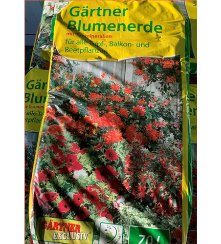 Blumenerde