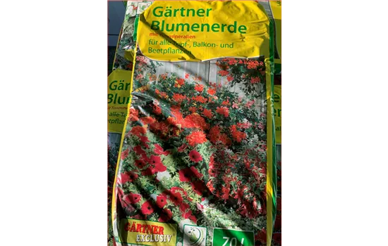 Blumenerde