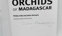 Field Guide to the Orchids of Madagascar