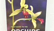 Field Guide to the Orchids of Madagascar
