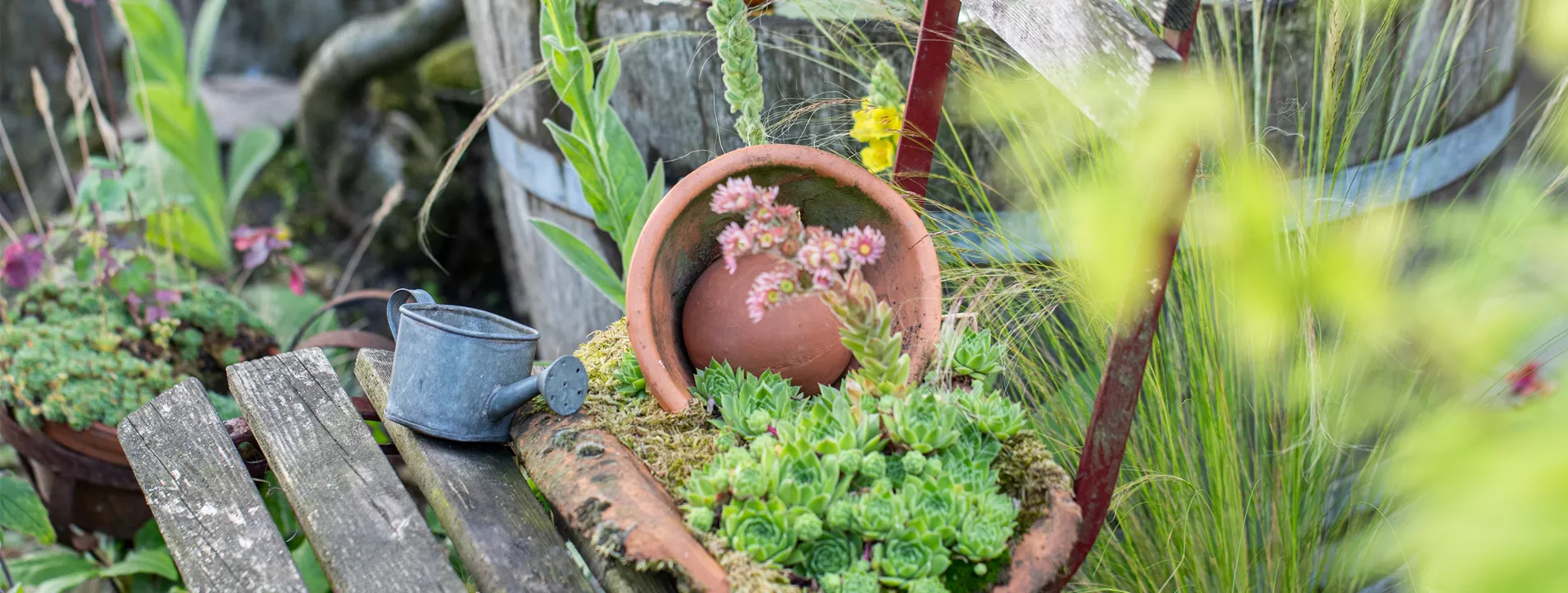 Gartendekoration