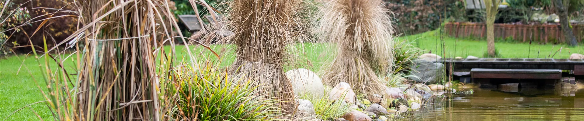 Wintervorbereitung - gebundene Gräser